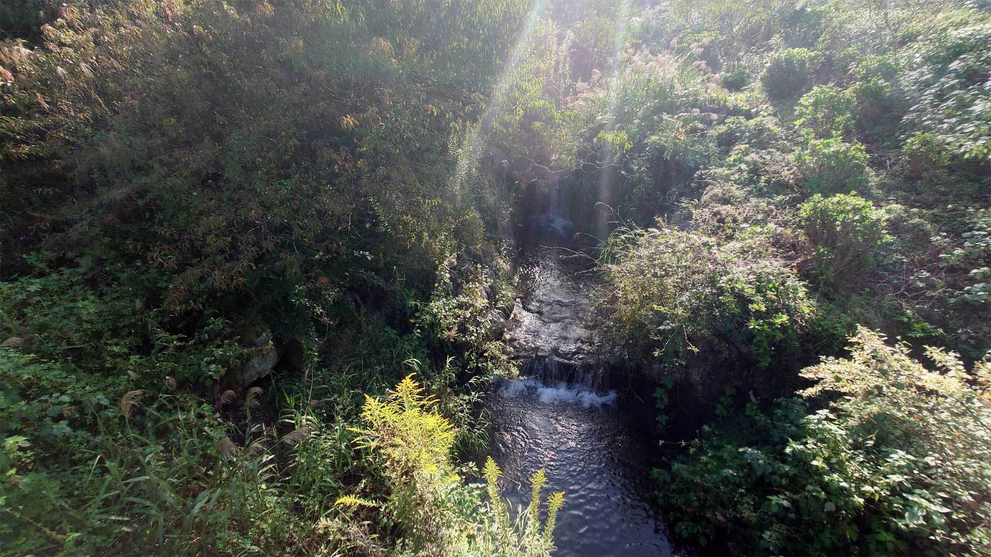 【風景】朝日を受けて輝く太郎川