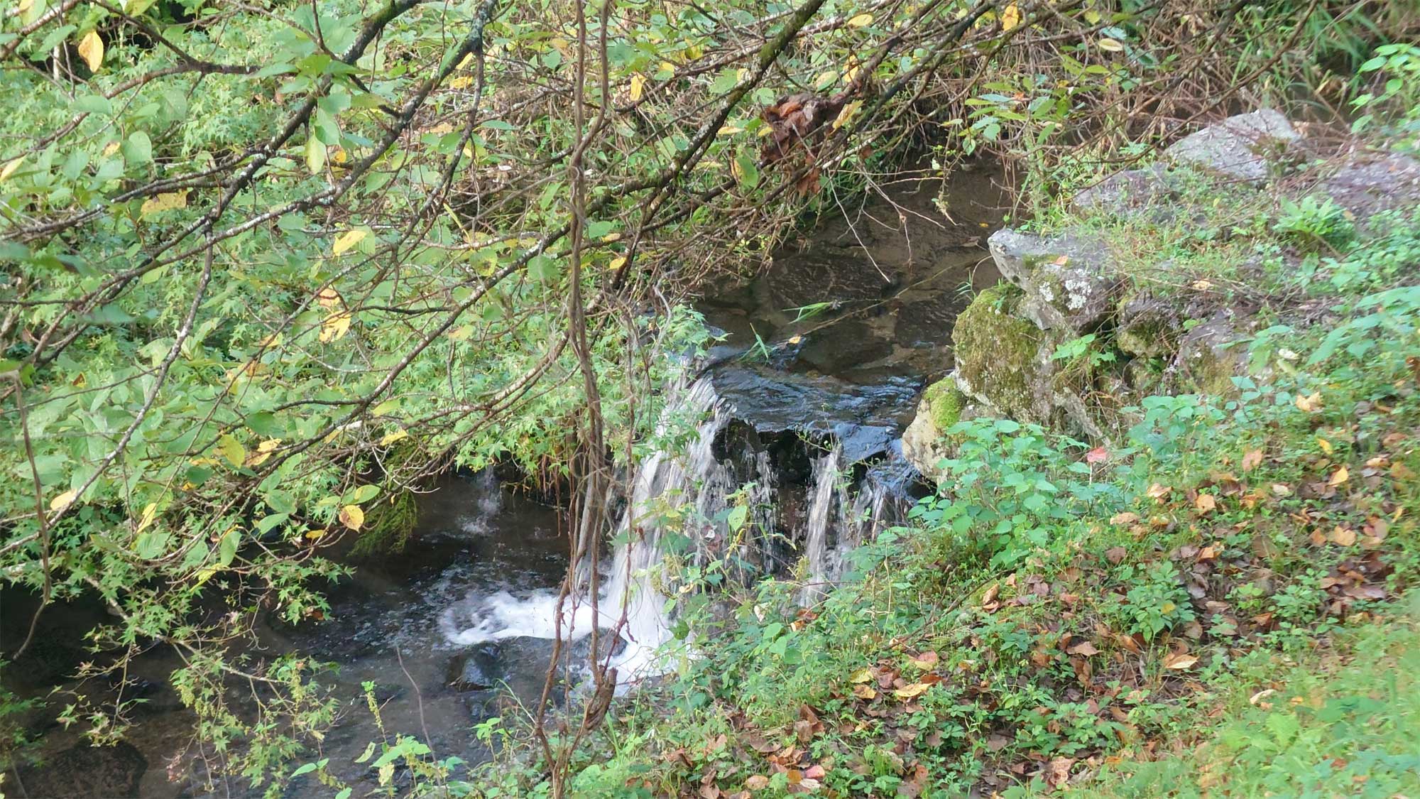 【風景】太郎川