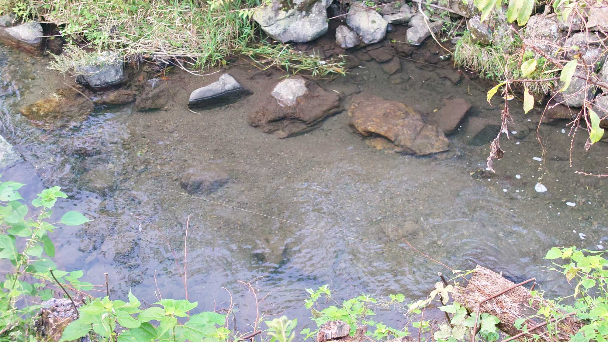 【風景】太郎川