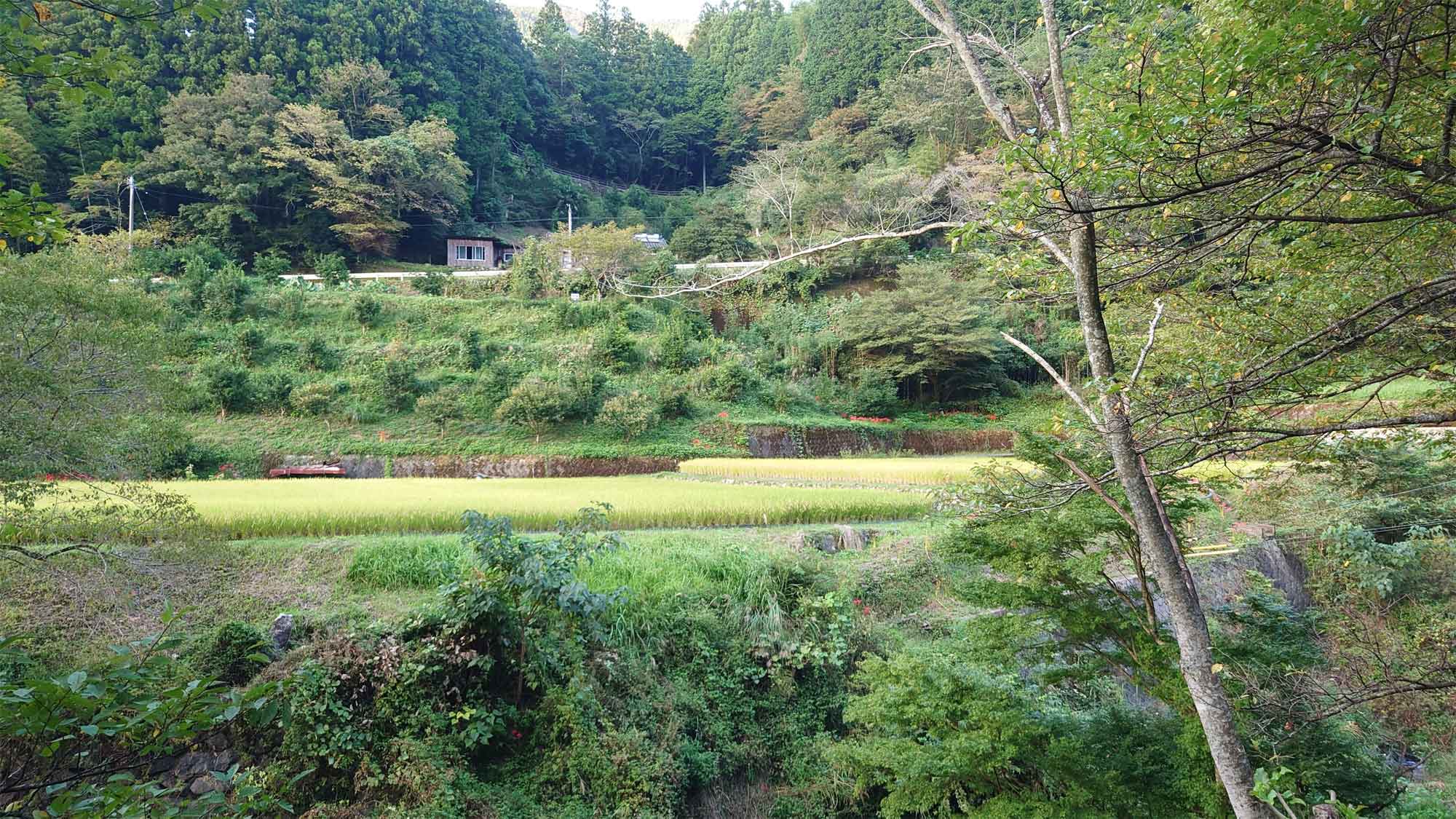 【風景】山里の風景の中に施設はあります