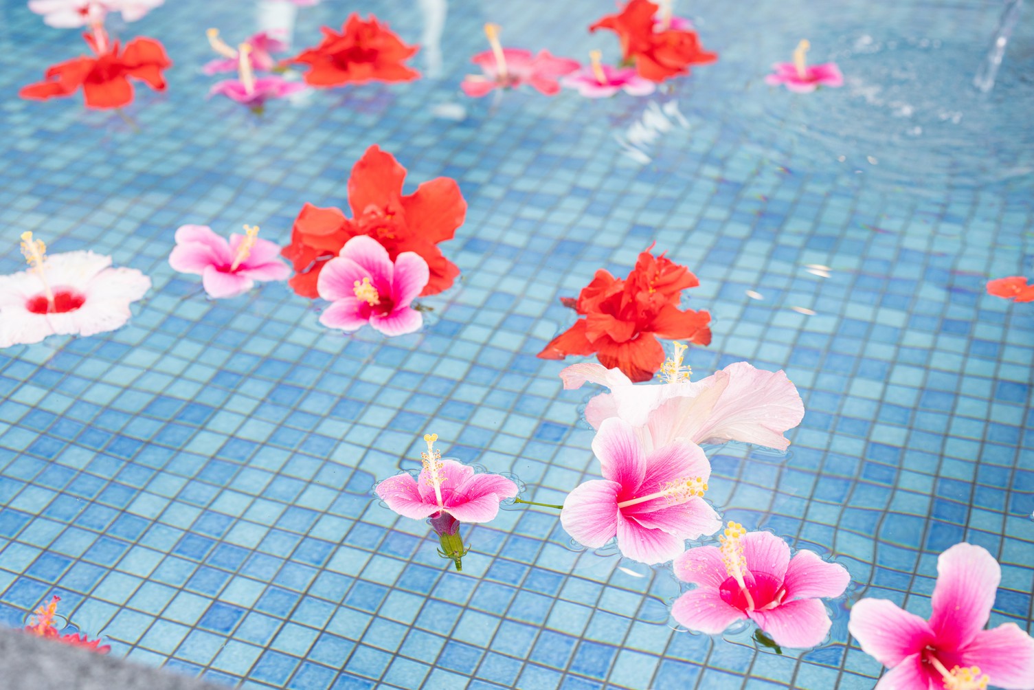 【18時から午前9時まで滞在可能】ヴィラ1棟貸し切りショートステイプラン【プールオーシャンビュー】