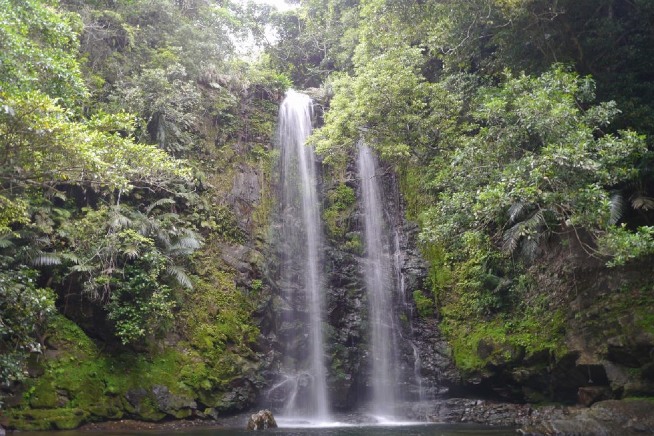 やんばるの森奥地の秘境「ター滝」　車で約50分