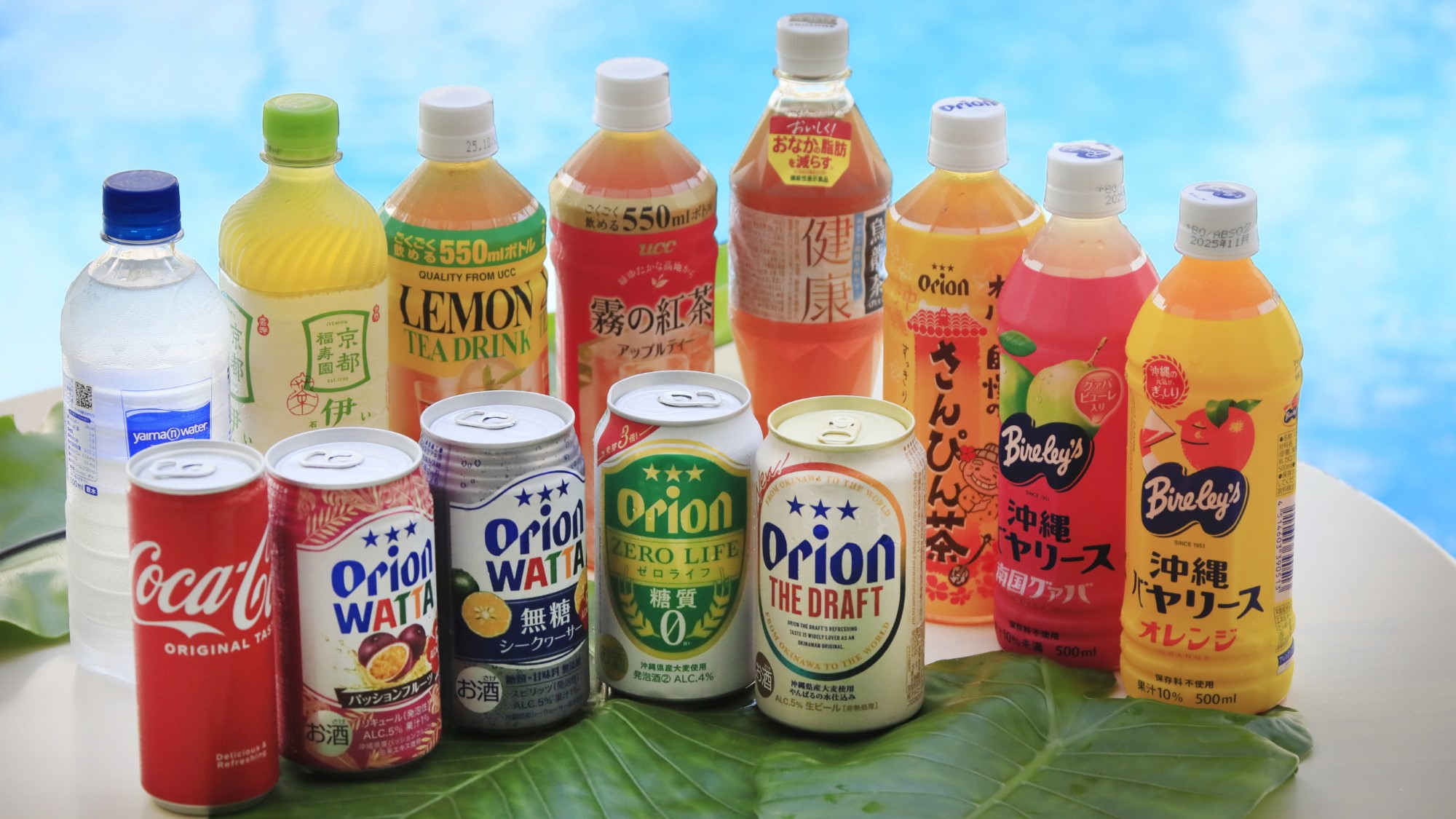 ドリンク飲み放題