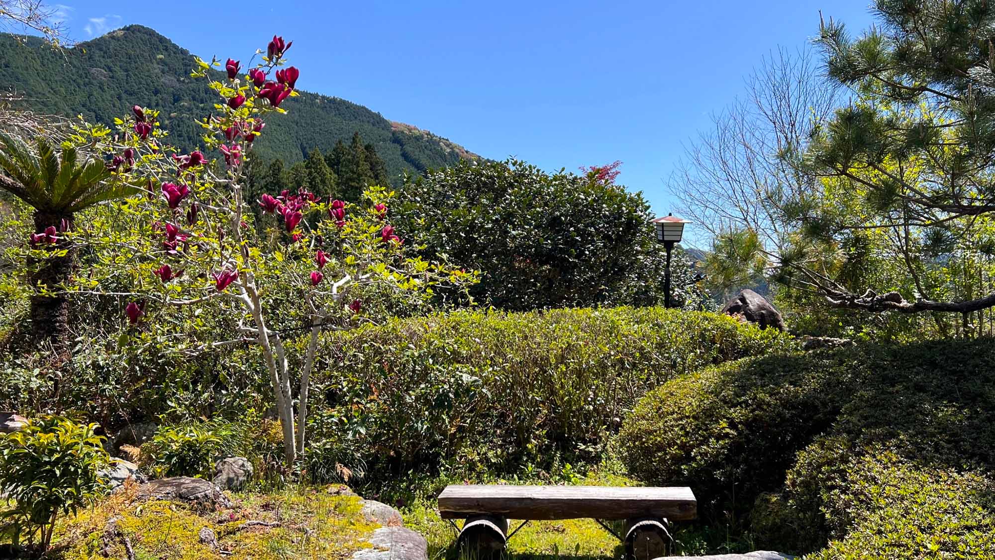 ・【庭園】庭の一部。縁側から見える景色。山や空は見ていて飽きません