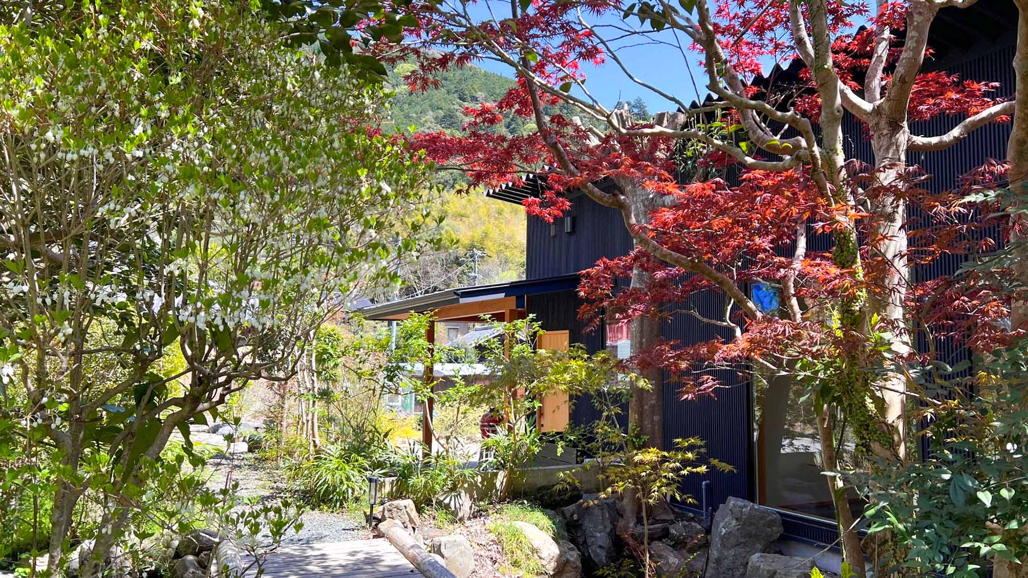 ・【庭園】庭の一部。奥にみえるのはBBQ広場＋キッチン。季節ごとの木々が楽しめます