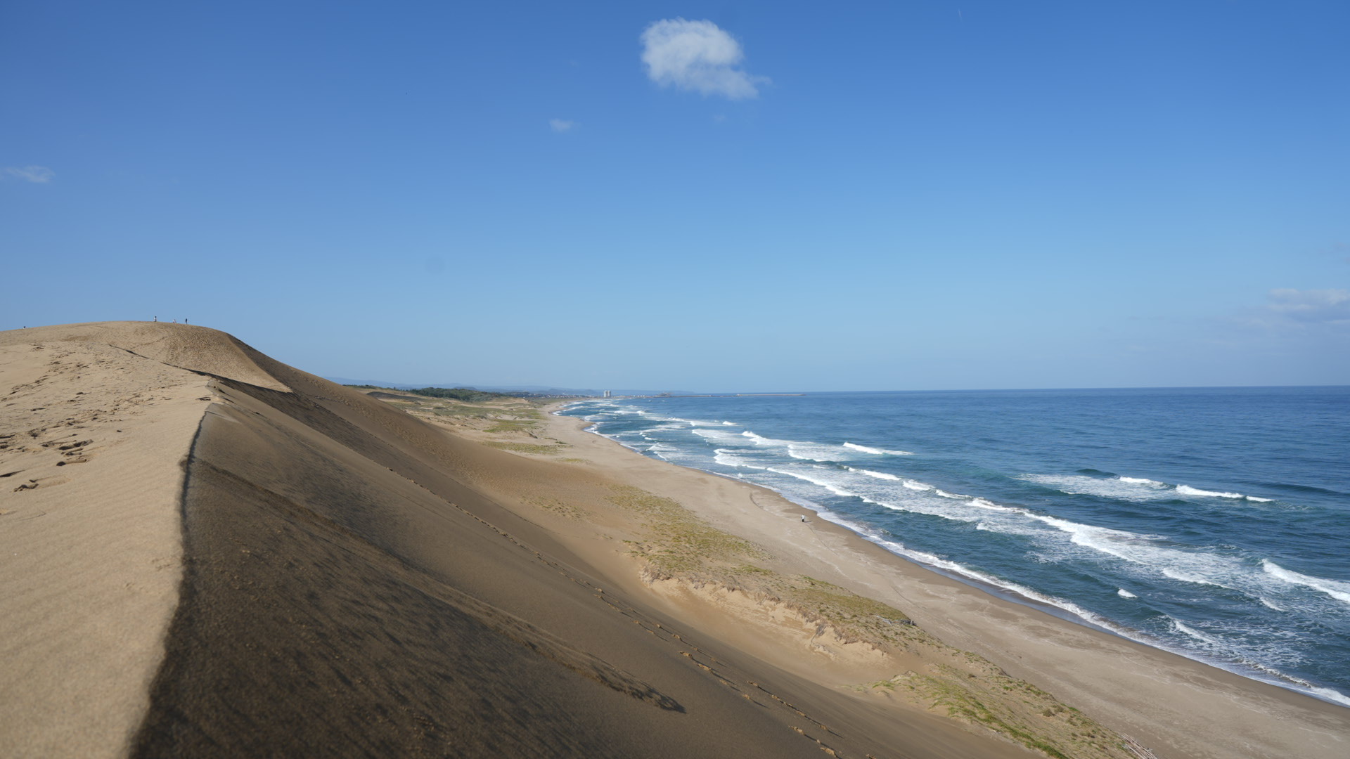 鳥取砂丘（アパホテルから車で12分、バスで30分）