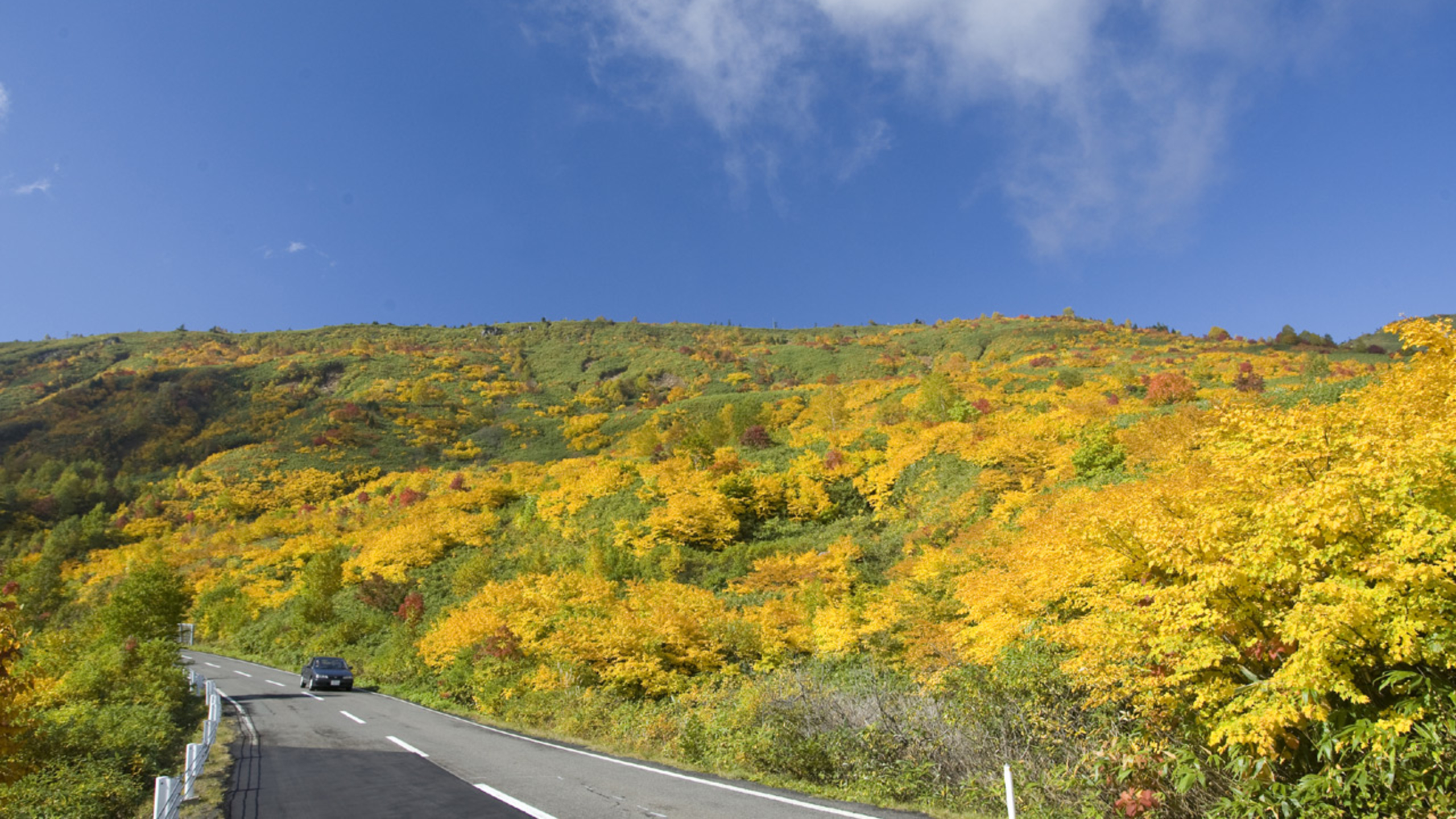 ■アスピーテラインの紅葉（八幡平）【岩手県観光協会様提供】■