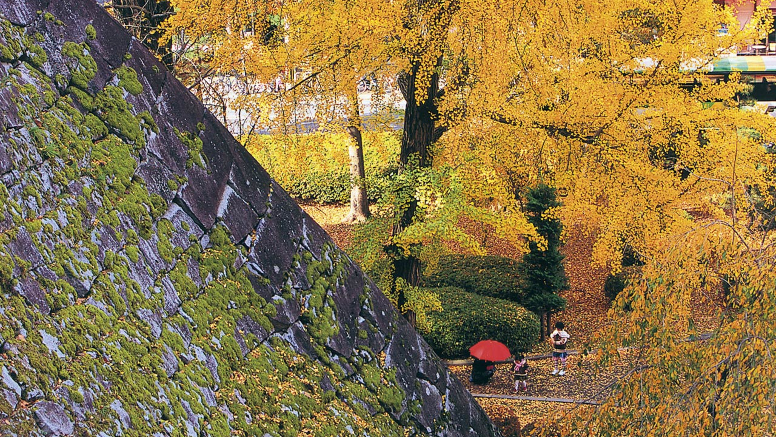 ■盛岡城跡公園（岩手公園）秋【岩手県観光協会様提供】■