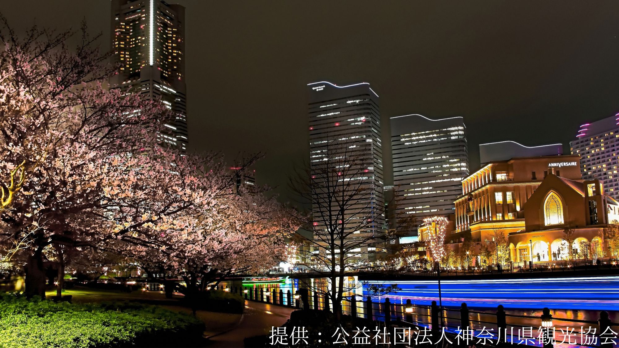 【観光画像】みなとみらい「みなとみらいの光彩」