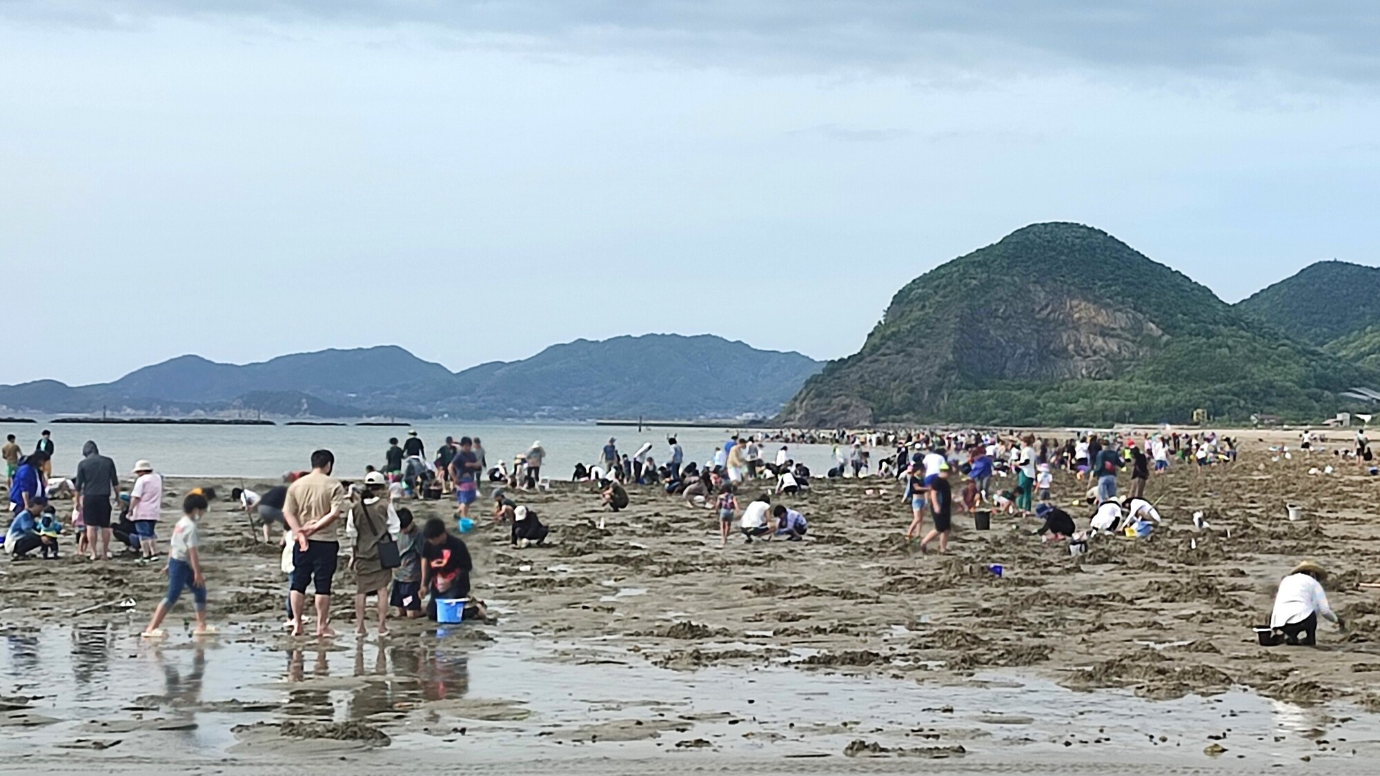 有明浜潮干狩り