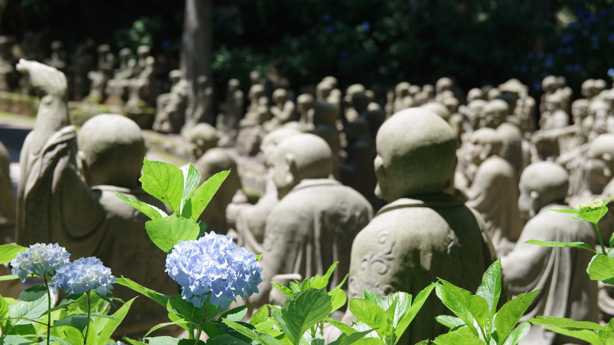雲辺寺五百羅漢