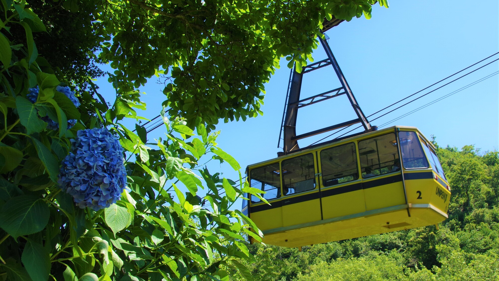 雲辺寺ロープウェイ