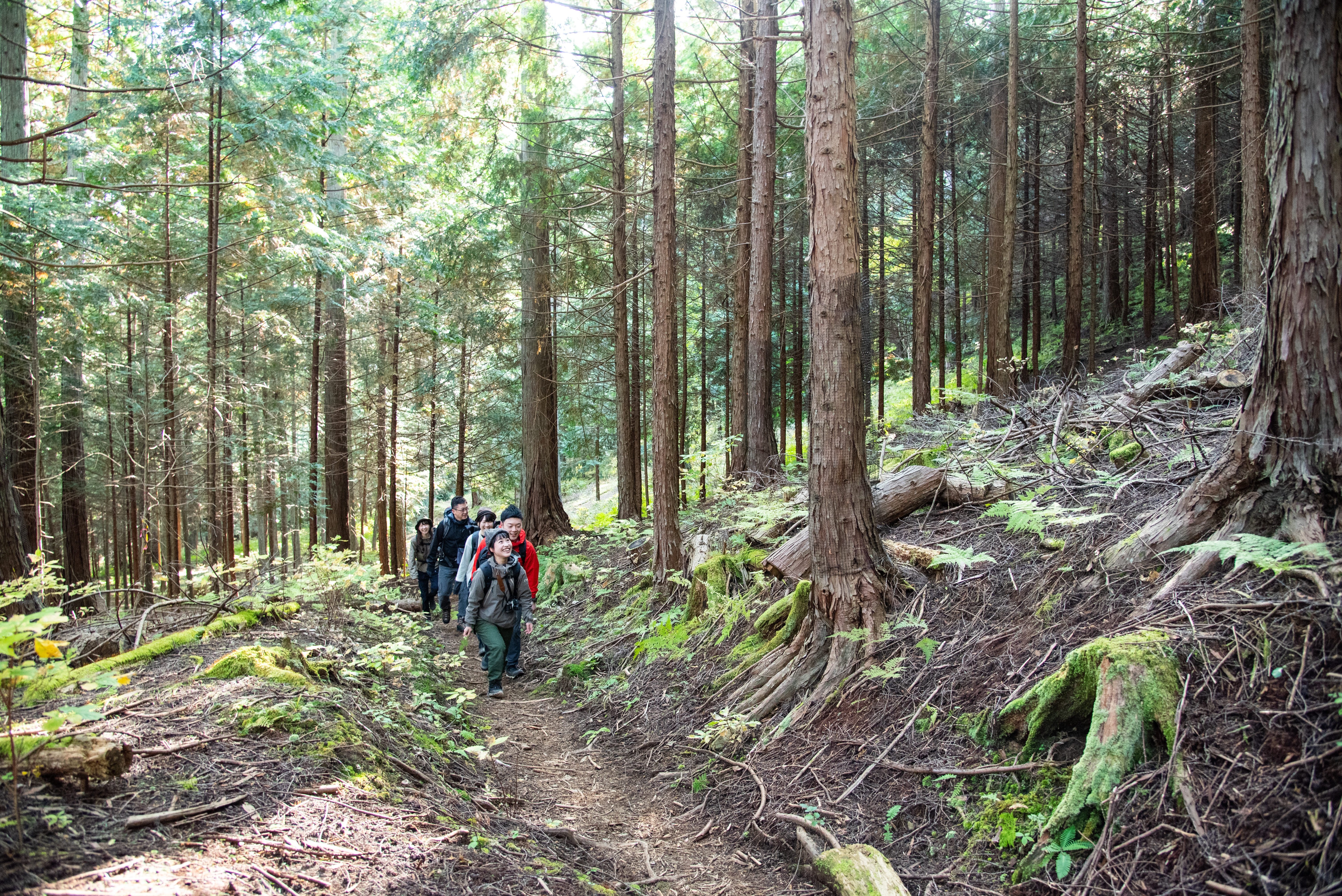 トレッキングツアー