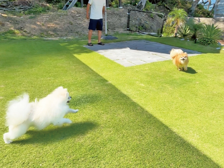 【1日1組限定・ペット可】海まで10秒！愛犬と過ごすプライベートヴィラ（無添加おやつ付）