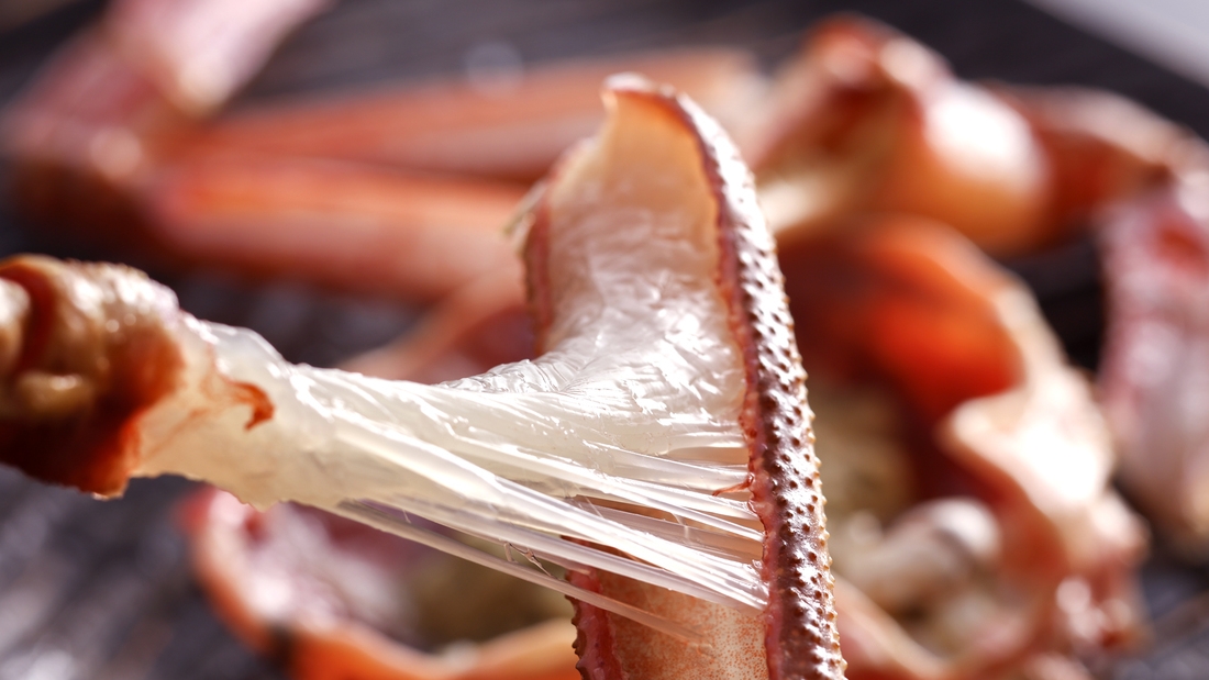 【冬・活ガニ】山陰産の活ガニ600g級・1人1杯使用◆カニ卸直営宿が提供する【活ガニフルコース】