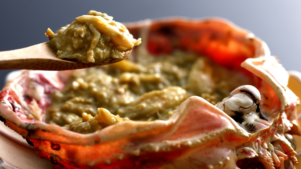 【冬・活ガニ】山陰産の活ガニ600g級・1人1杯使用◆カニ卸直営宿が提供する【活ガニフルコース】