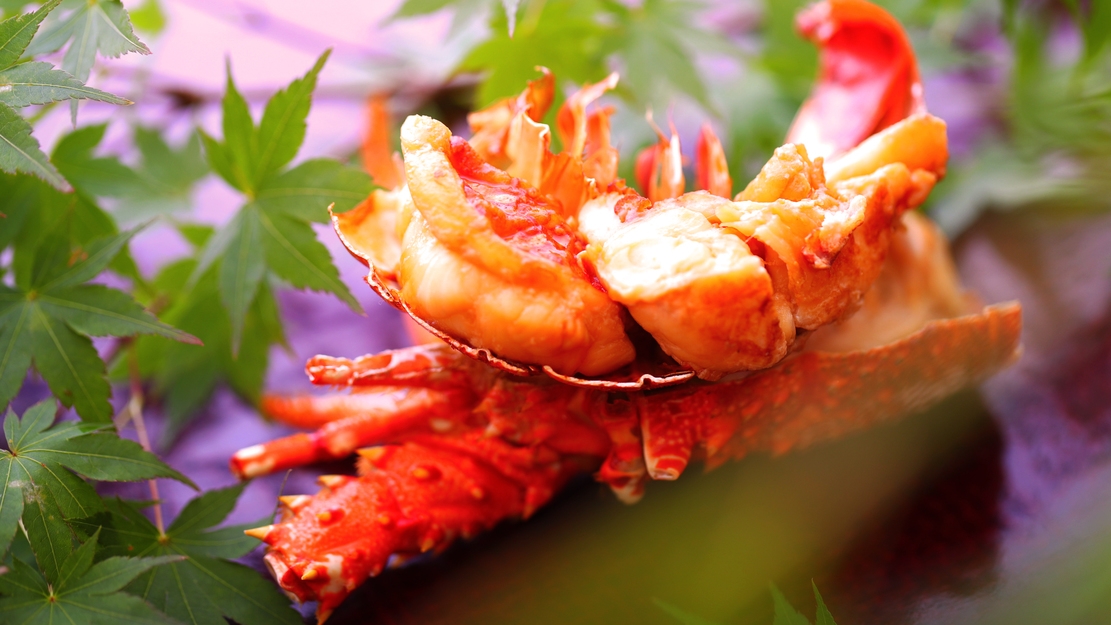 ●夕食付き・朝食なし●お造り５点盛り色彩-IroIro-食べられる海鮮会席