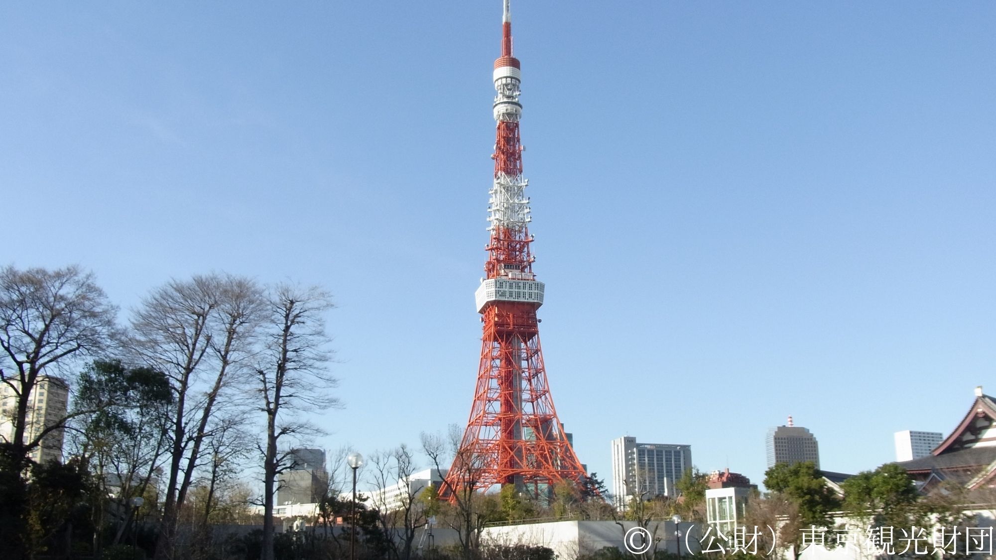 【観光画像】東京タワー