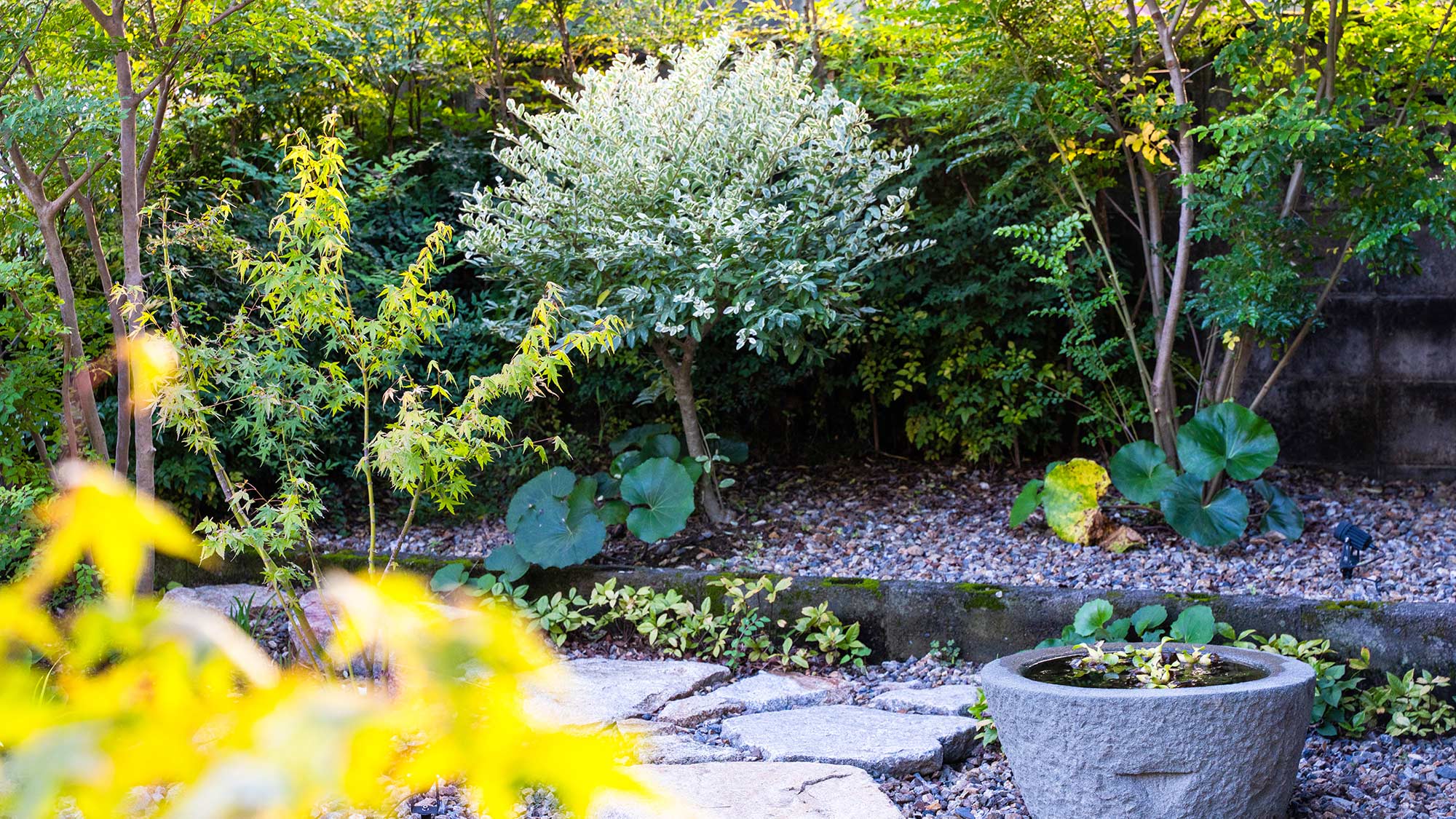 ・【庭】日本らしさと阿南の歴史を感じられるお庭。夜間にはライトアップされ、一層情緒を感じます