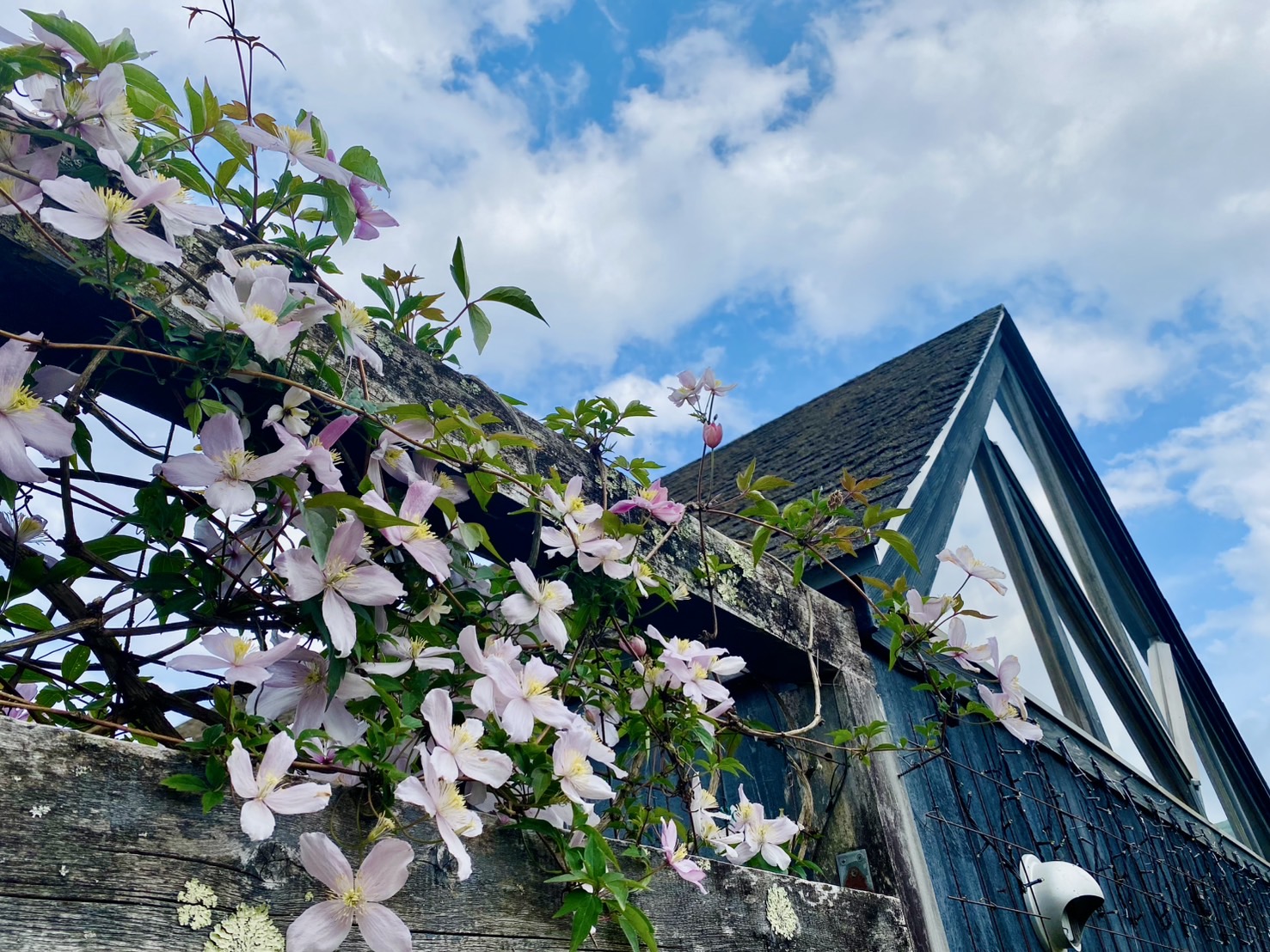 Montana：入り口ゲート