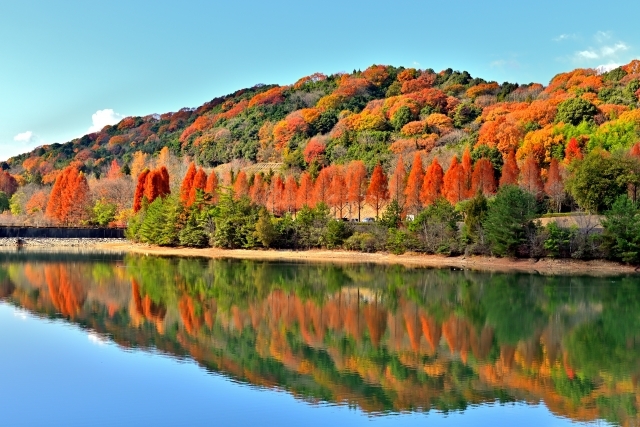 【秋旅限定１０％off】古民家ZENYAで信州をのんびり満喫◆素泊まり◆