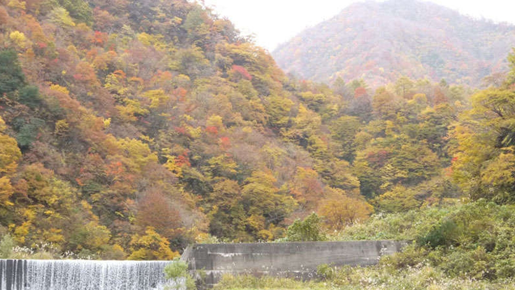 【見ごろは10月中旬〜11月中旬】知る人ぞ知る、大自然ド真ん中の露天風呂から臨む紅葉の絶景スポット！