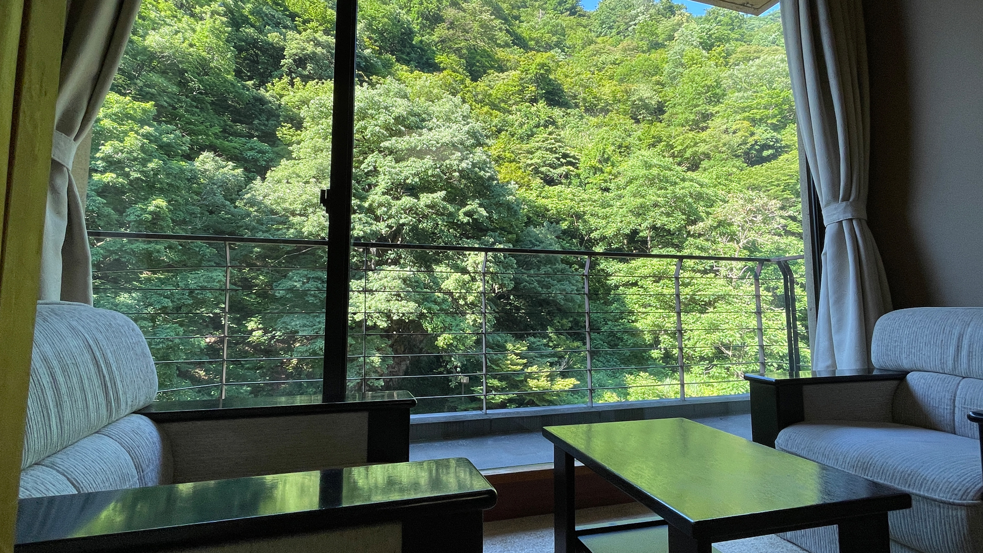 【スタンダード和室】リーズナブルなお部屋ですが、他のお部屋タイプと同じ景色で小川と渓谷を臨めます。