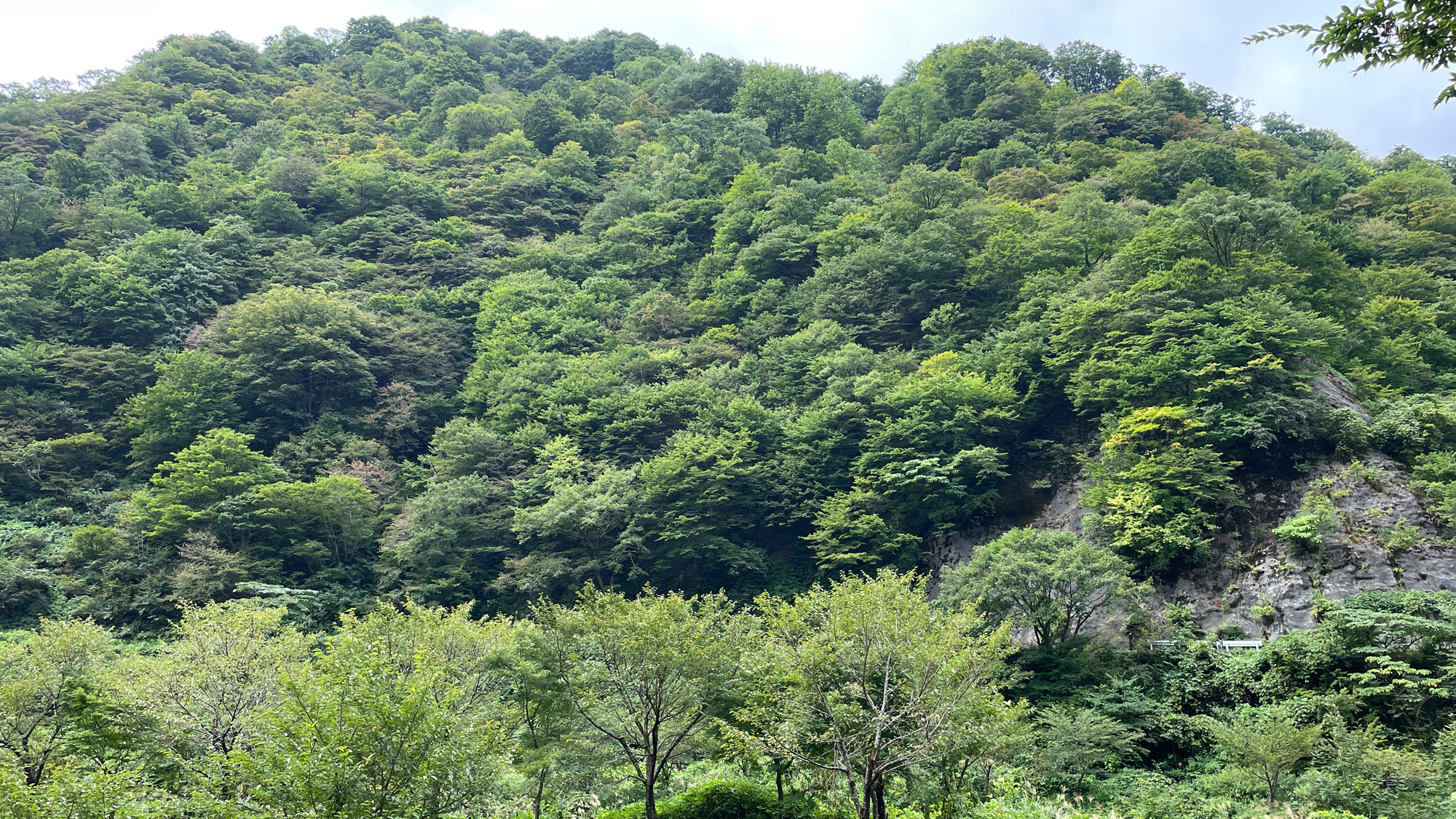 【天然洞窟露天風呂】眼前に広がる風景は日常のストレスを和らげるきっかけになるでしょう