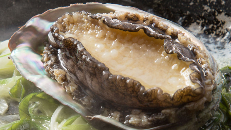 【通年　別注文　アワビ　陶板蒸し焼き】シンプルながら素材そのものの味を活かした当館人気のメニューです