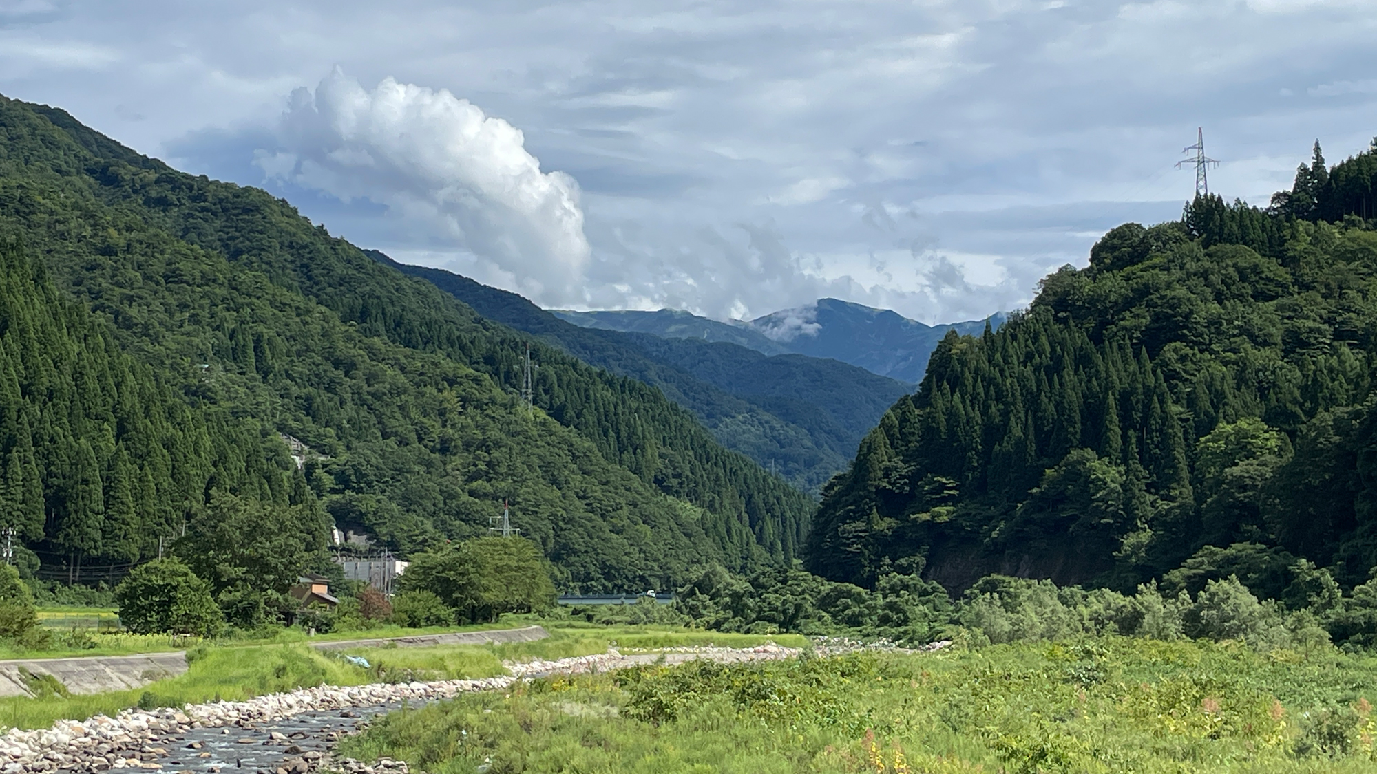 【見ごろは6月初旬～9月初旬】当館は自然豊かな山間にある一軒家です。喧噪とは隔離された特別な地域です