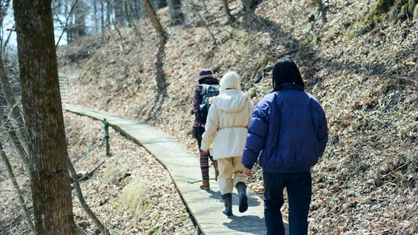 森を歩くプチセラピー