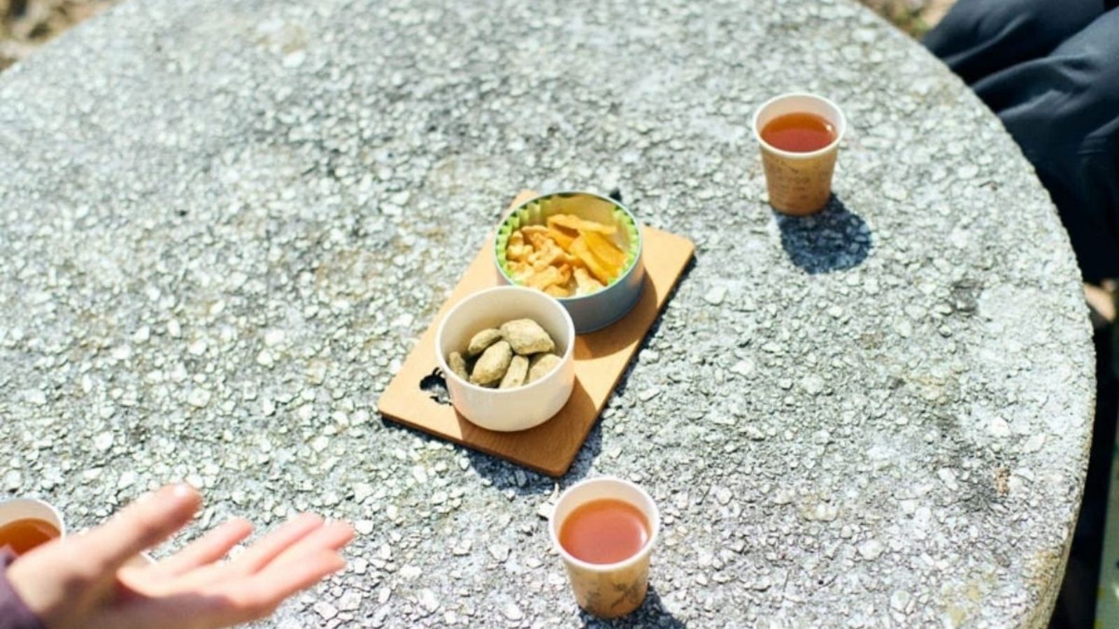 森を歩くプチセラピー