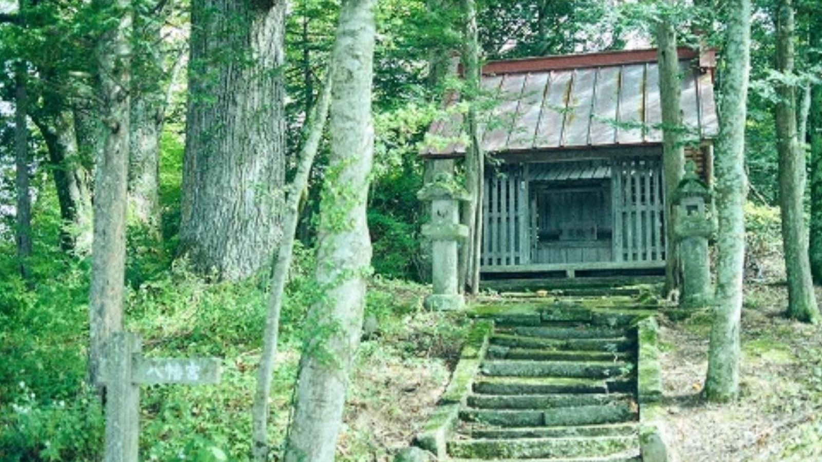 森を歩くプチセラピー