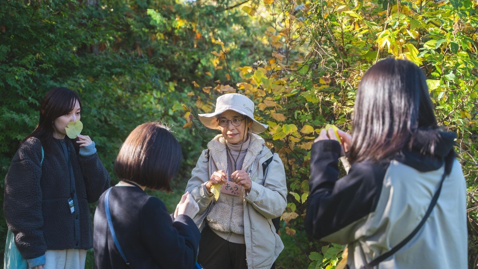 セラピーウォーク