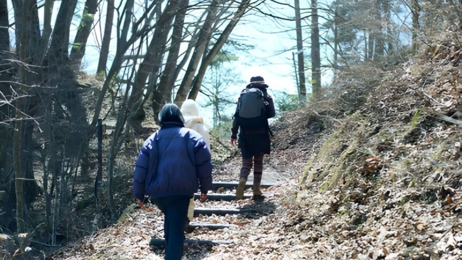 森を歩くプチセラピー