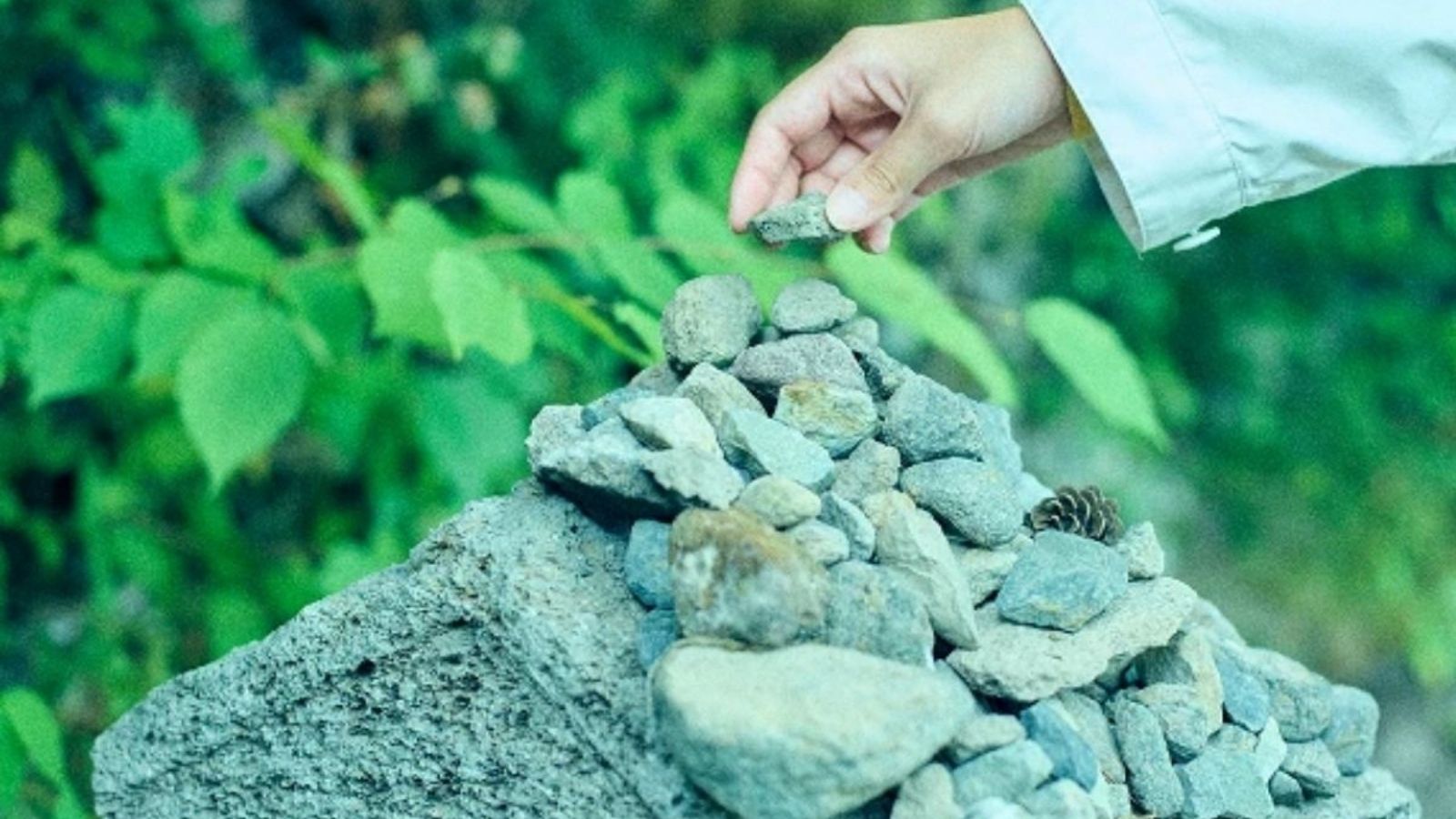 森を歩くプチセラピー