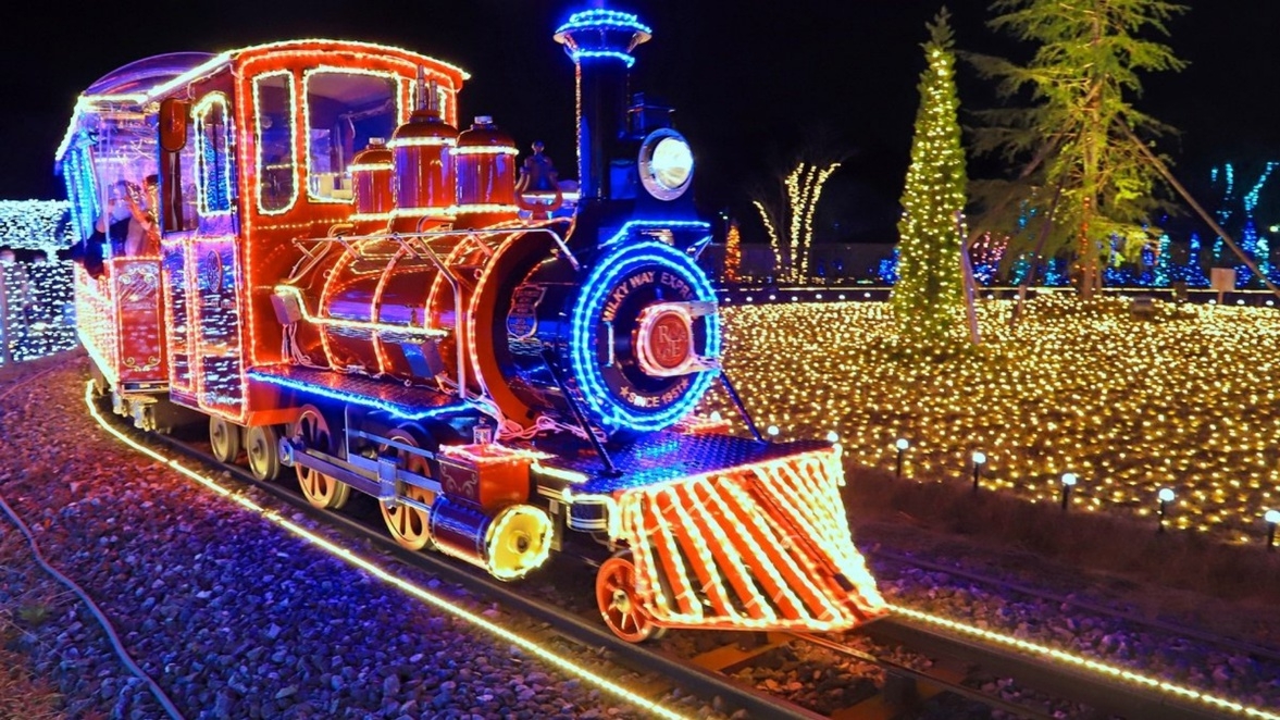 【冬季限定】ローザンベリー多和田イルミネーション「HIKARIUM入場チケット付プラン」