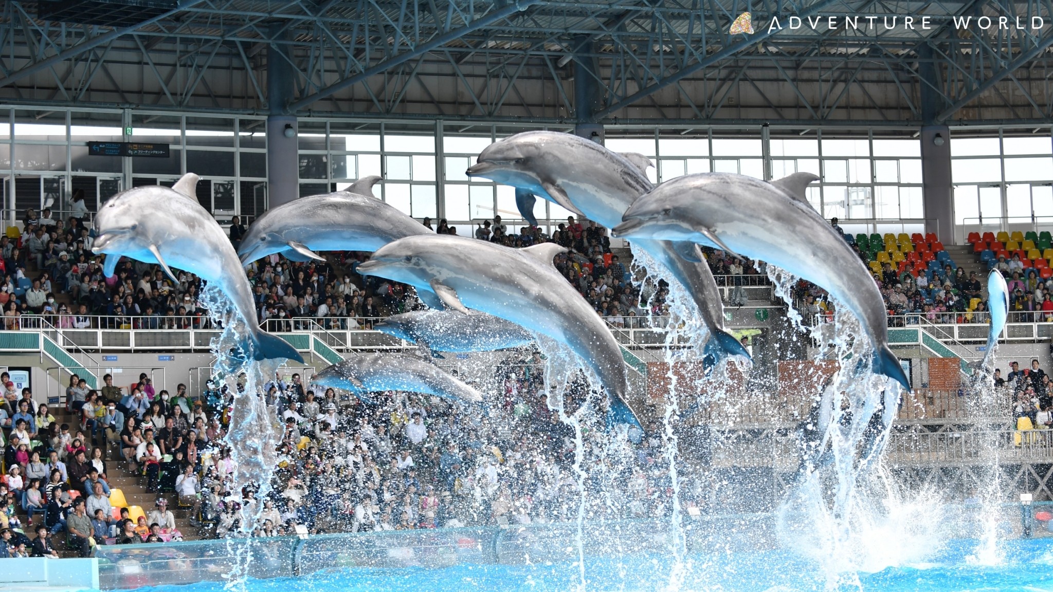 アドベンチャーワールド