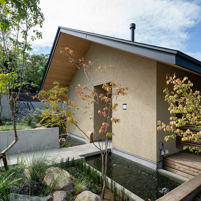 入口の池では、自然の生き物たちや草花たちがお出迎えしてくれます。