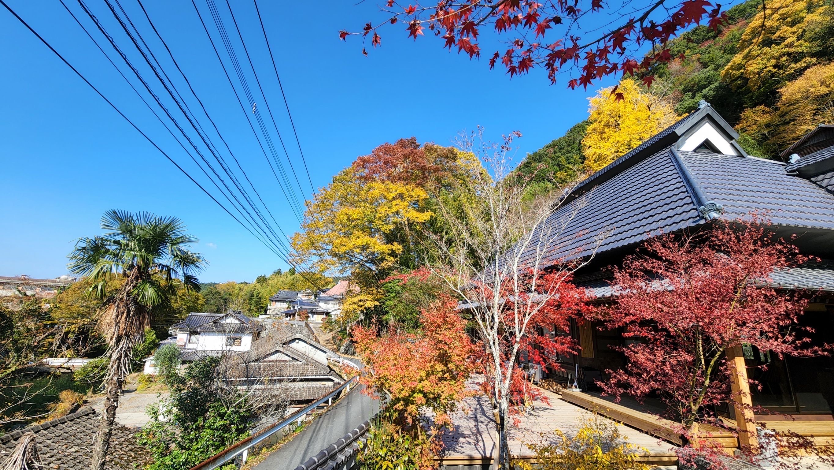 原風景が色濃く残る山間の集落に位置しているため、古民家自体が周囲の自然や歴史と一体となっています。
