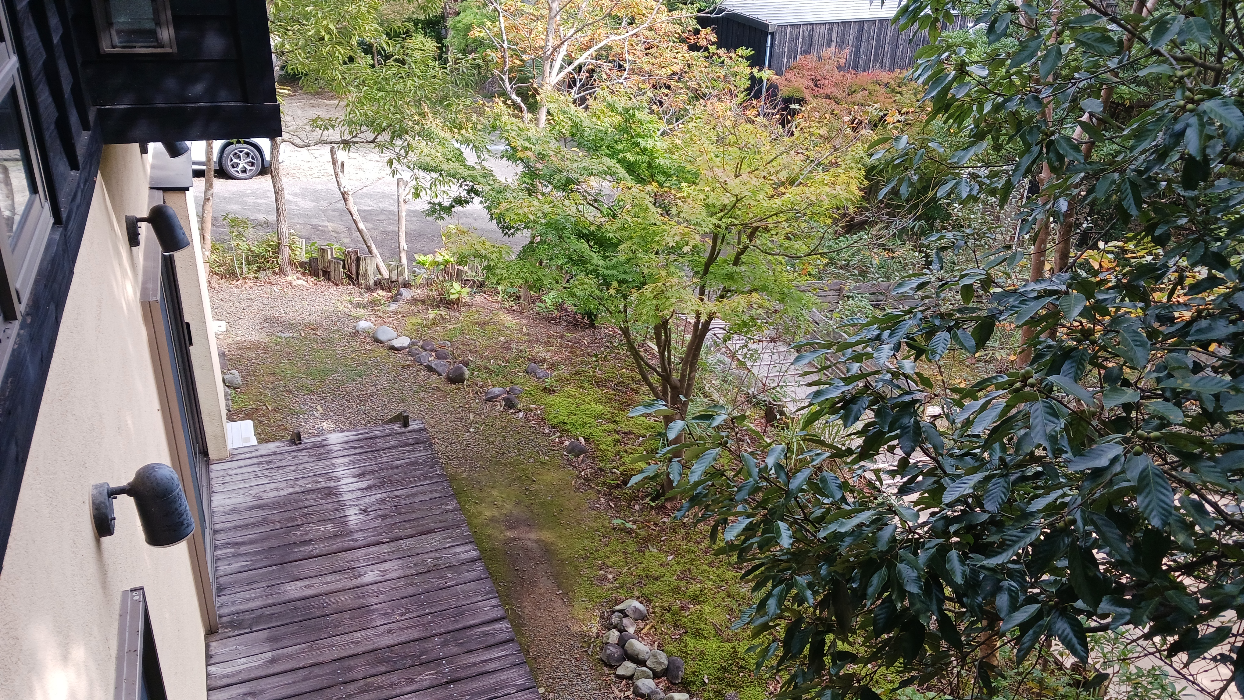 庭2　鳥の声を聞き、広いデッキで苔むした庭を眺め、自然を楽しめます。