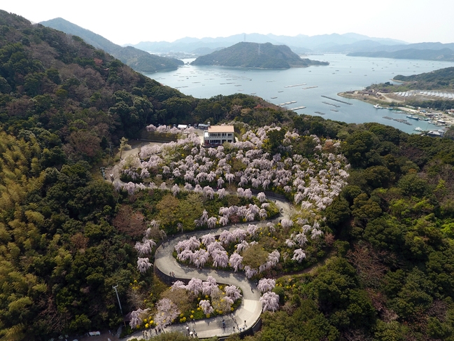 【冬季限定価格・ペット可・食事なし】自然溢れる花見山と鳴門の絶景を楽しめるお部屋