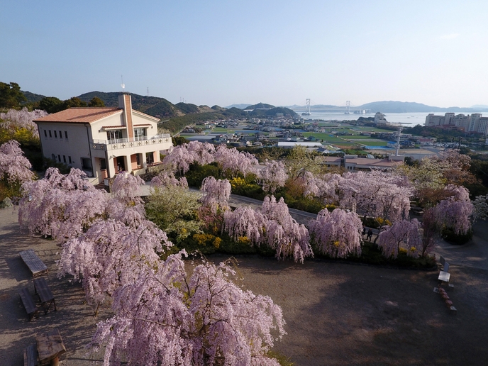 【2月以降・土日祝限定・朝食なし・1日1組限定】自然溢れる花見山と鳴門の絶景を楽しむ