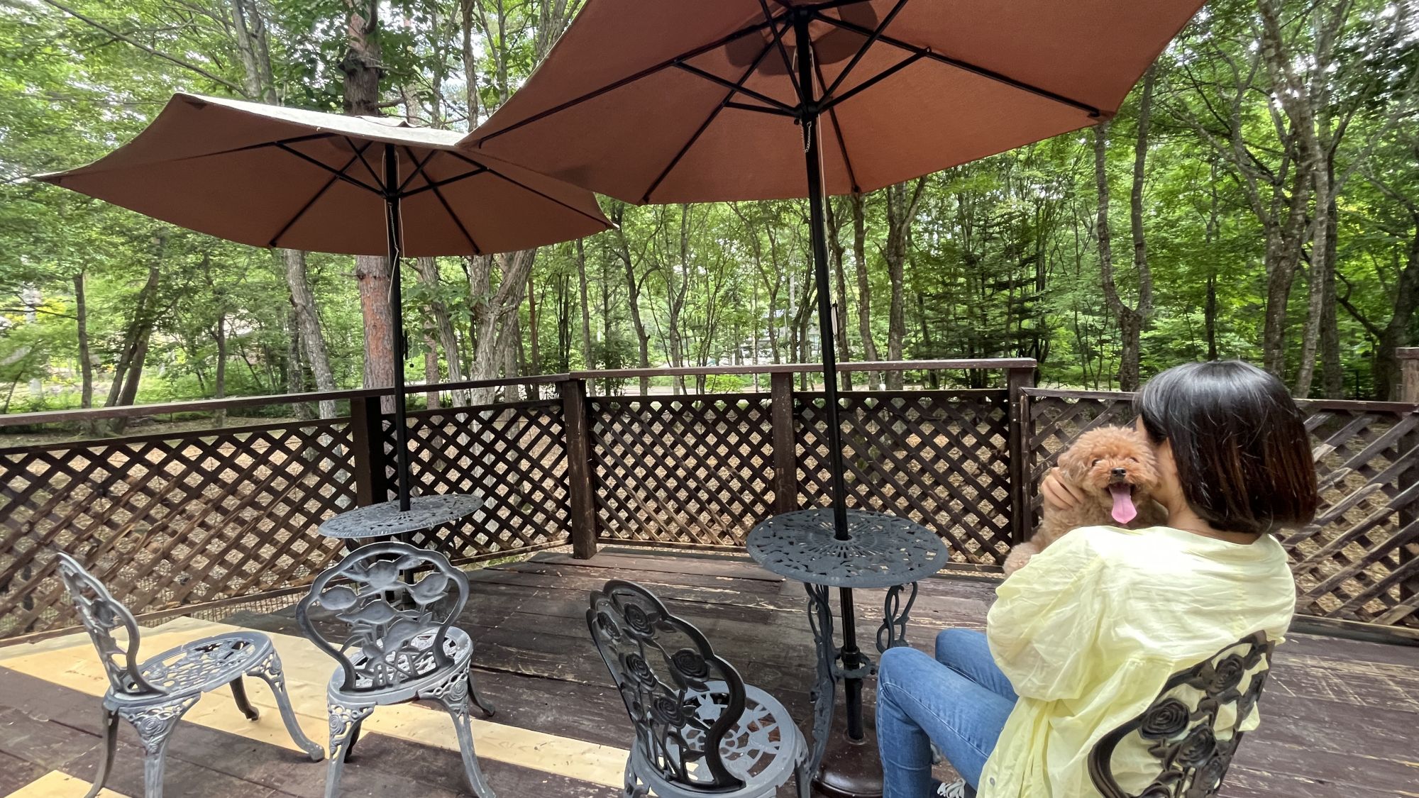 【ドッグランテラス】