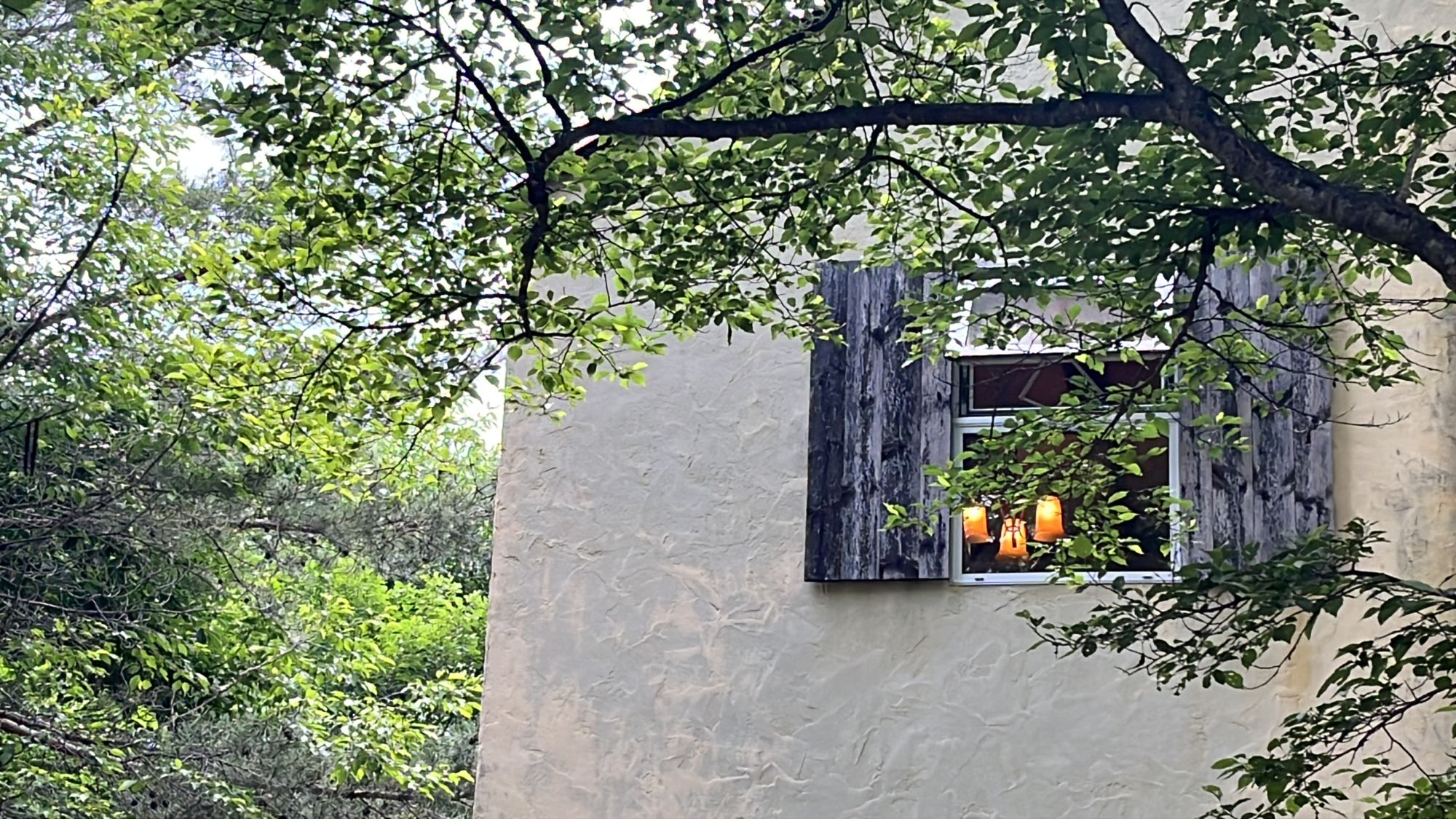 【館内イメージ】