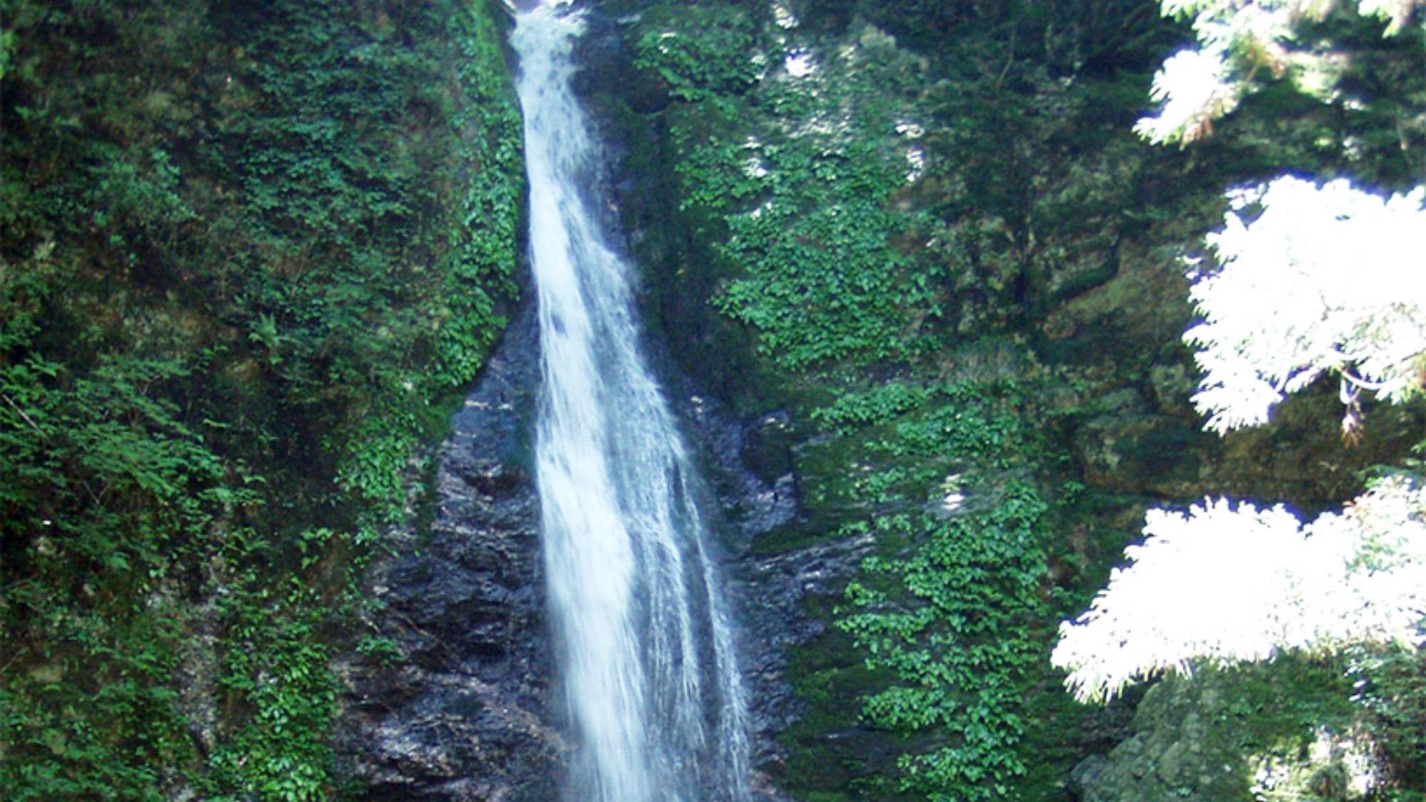 【周辺観光/龍王の滝】大豊ICから車で約50分