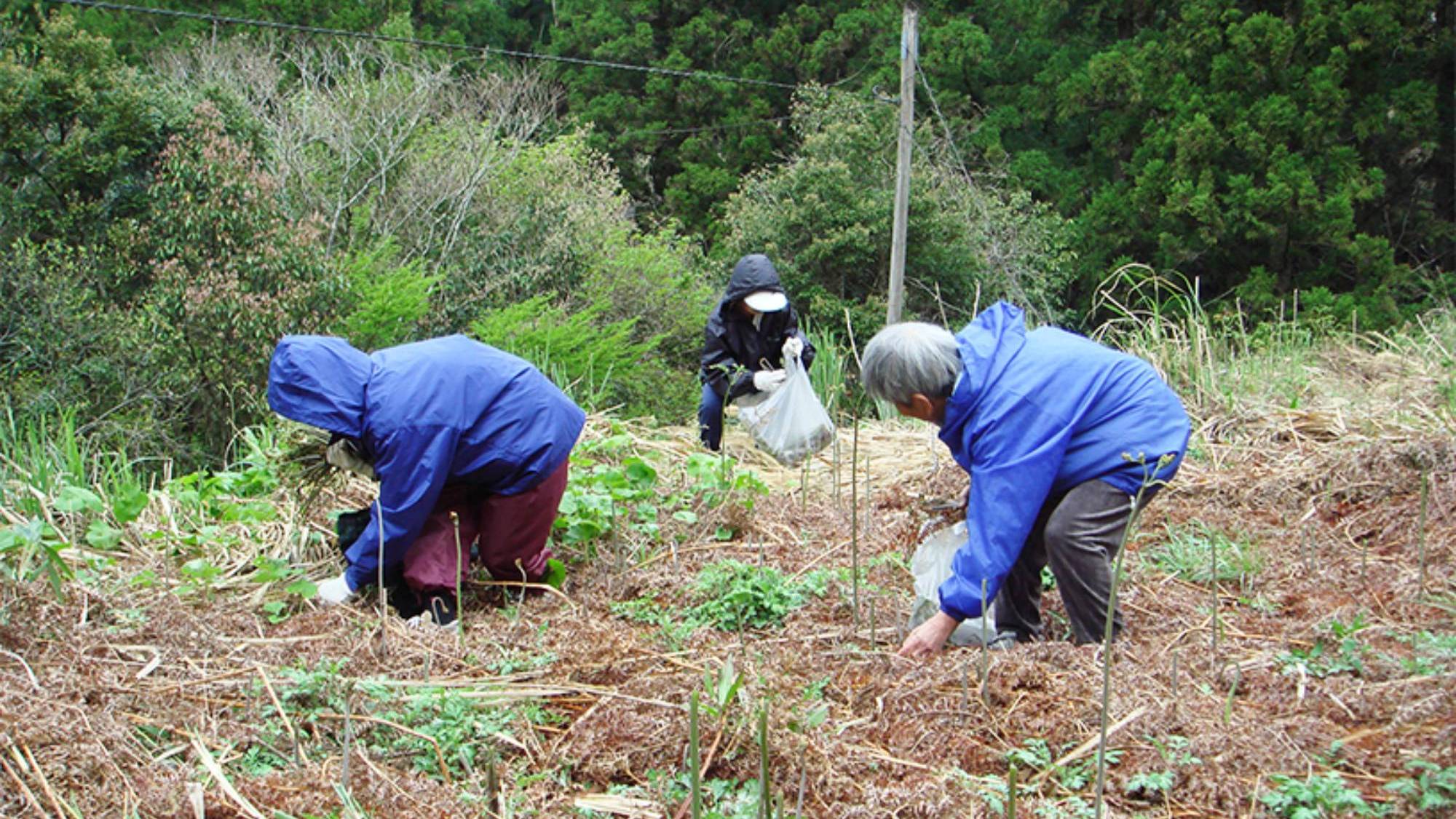 【周辺観光/立川体験交流の会】大豊ICから車で約25分