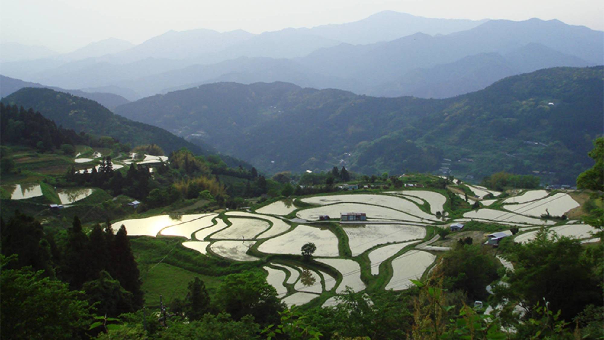 【周辺観光/棚田（穴内・八畝・怒田）】