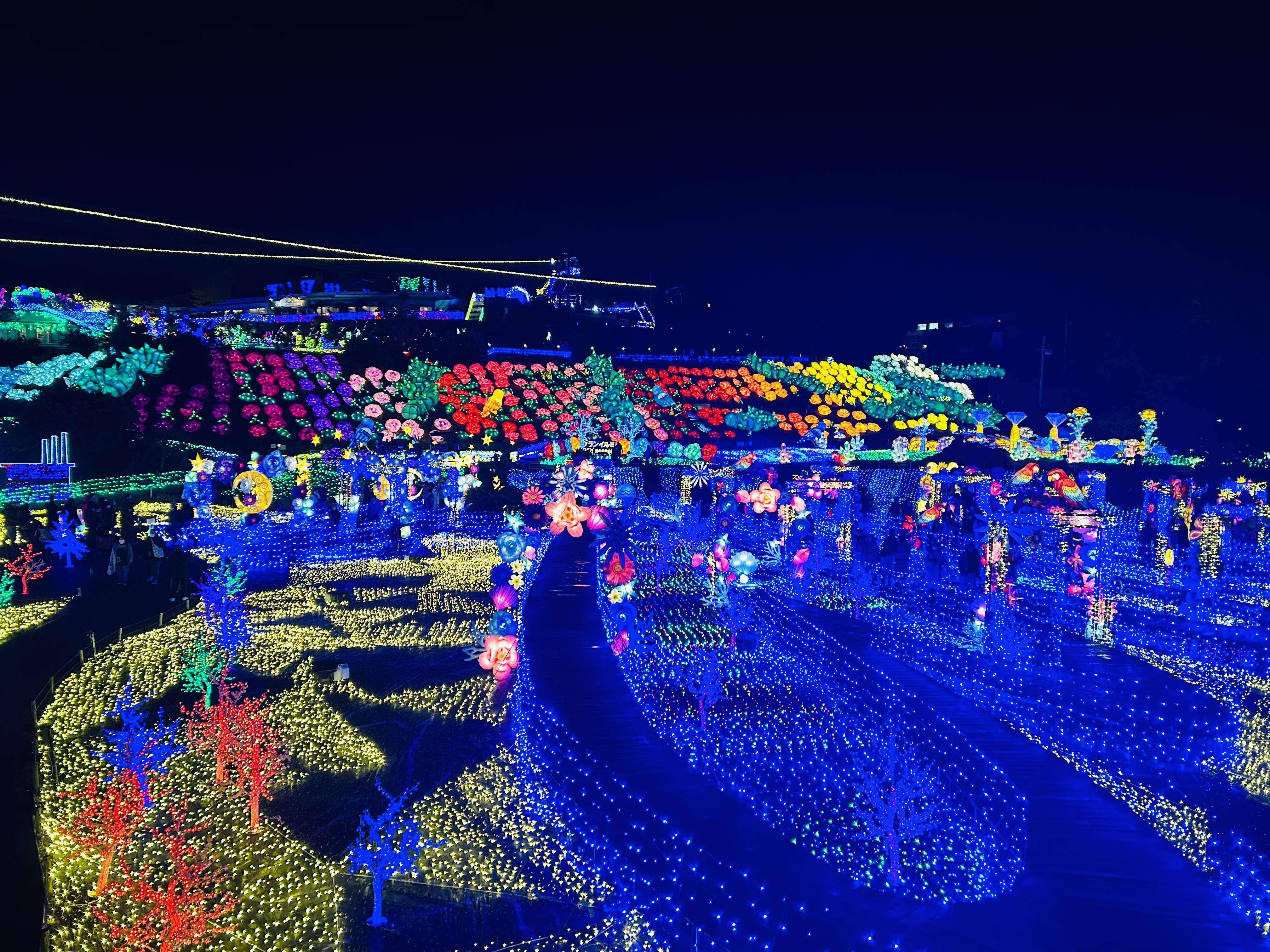 グランイルミ　お車で６分ほど