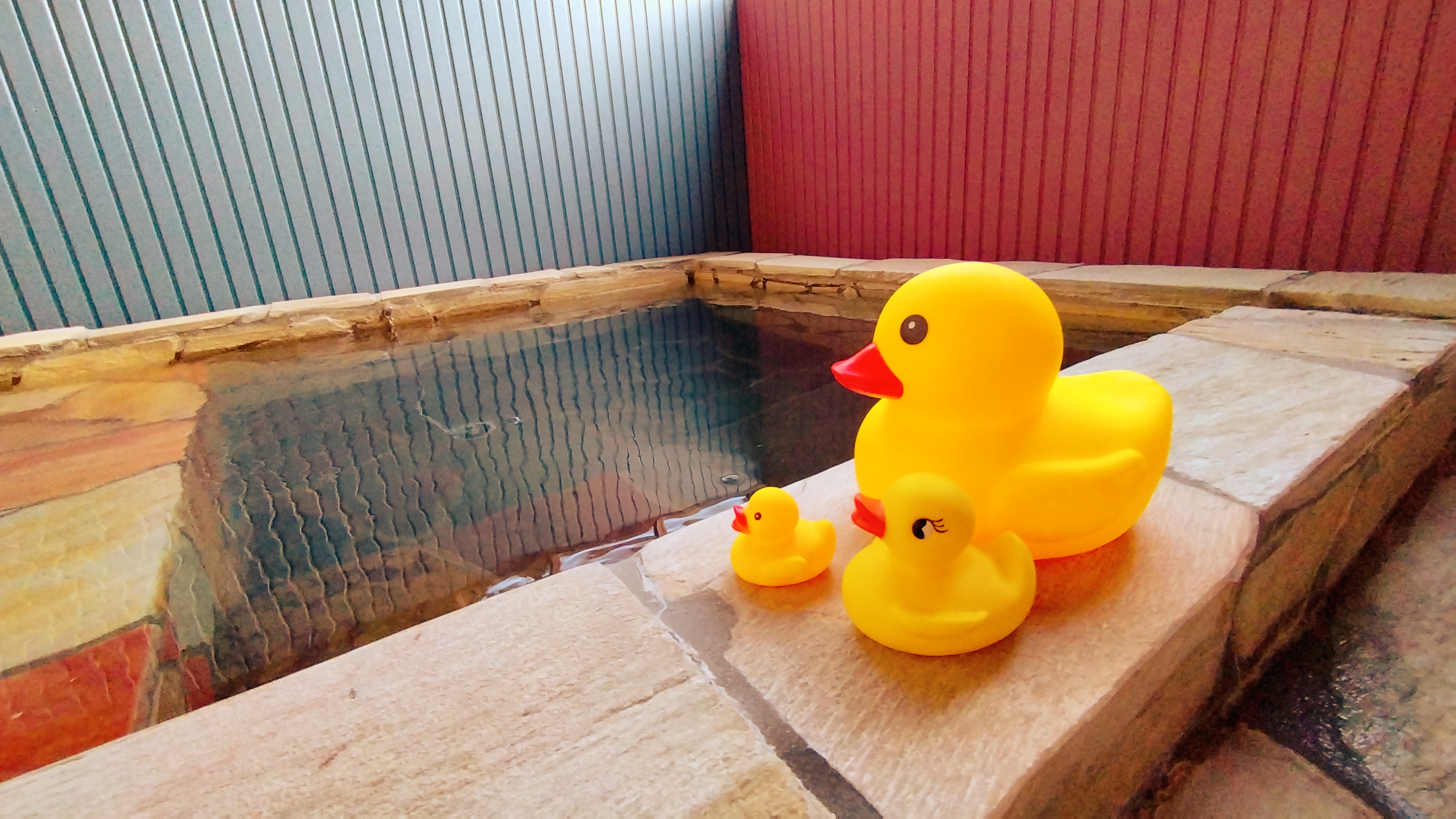 【貸切露天風呂】　伊豆高原温泉　★美人の湯★　※秋冬限定